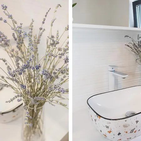 Black & White Rovinj